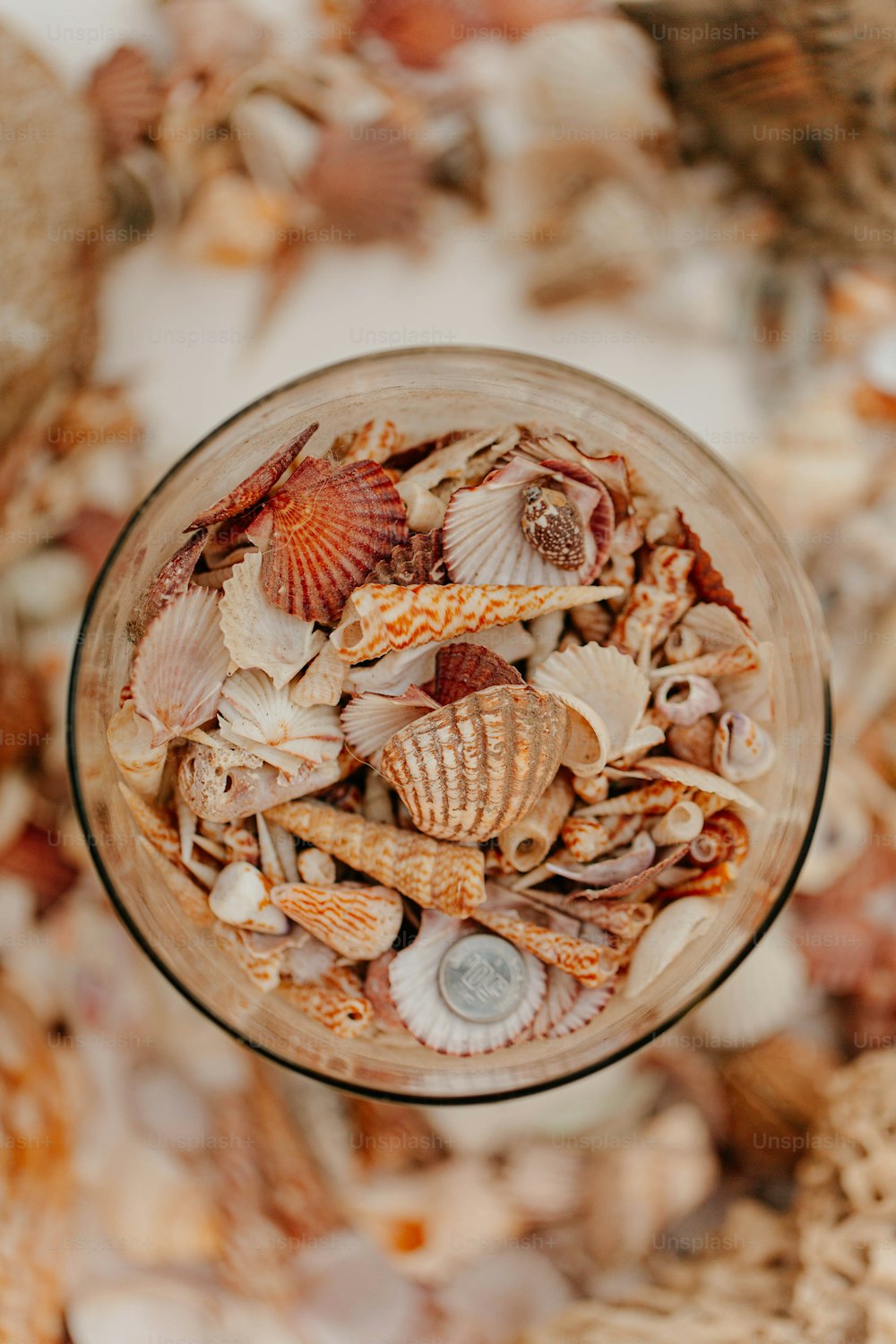 um copo cheio de conchas do mar em cima de uma mesa