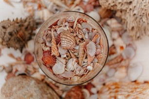 a glass filled with sea shells on top of a table