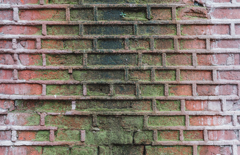 a close up of a brick wall with moss growing on it