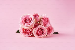 Un ramo de rosas rosas sobre fondo rosa