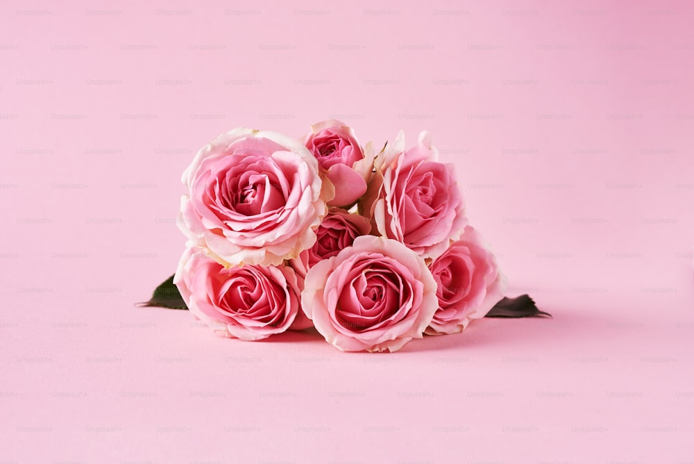 um buquê de rosas cor-de-rosa em um fundo rosa