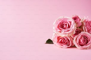 a bouquet of pink roses on a pink background