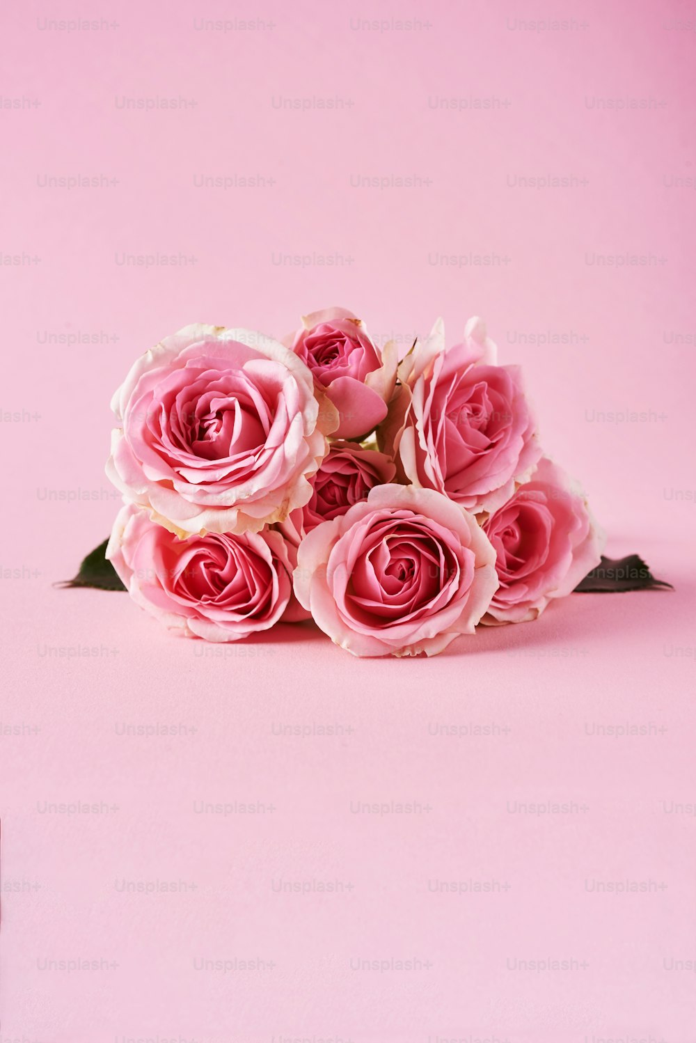 um buquê de rosas cor-de-rosa em um fundo rosa