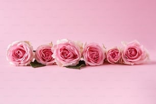 Un grupo de rosas rosadas sobre un fondo rosa