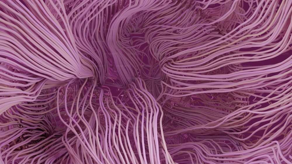 Una vista de cerca de una tela púrpura