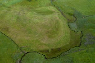 Una vista aérea de un campo verde con un árbol