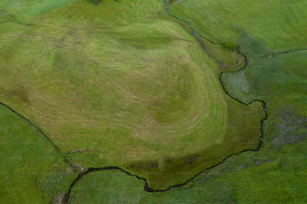an aerial view of a green field with a tree