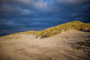 uma praia de areia sob um céu azul nublado