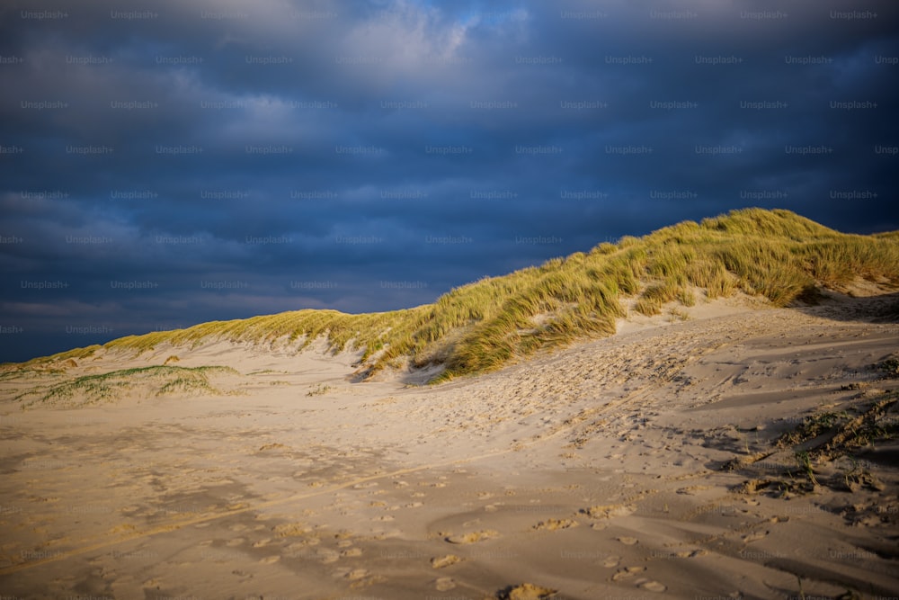 a sandy beach under a cloudy blue sky