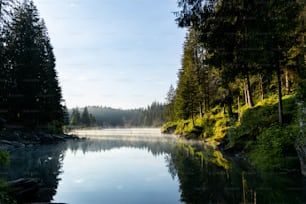 a body of water surrounded by trees on a sunny day