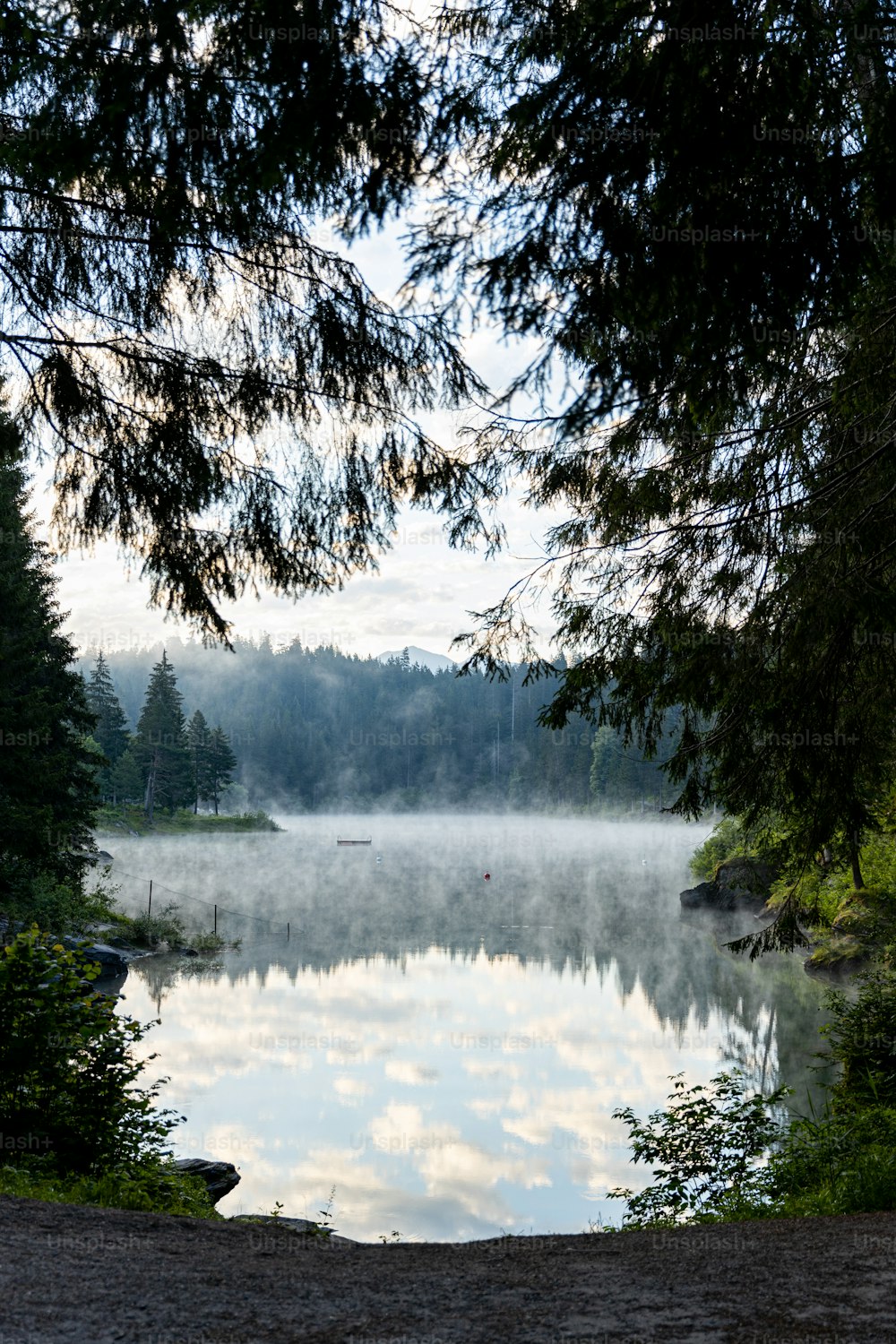 uno specchio d'acqua circondato da alberi e una foresta