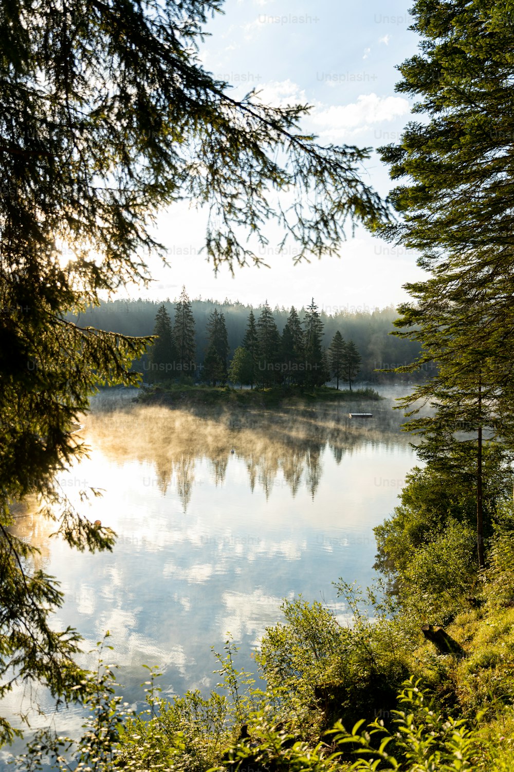 a body of water surrounded by trees on a sunny day