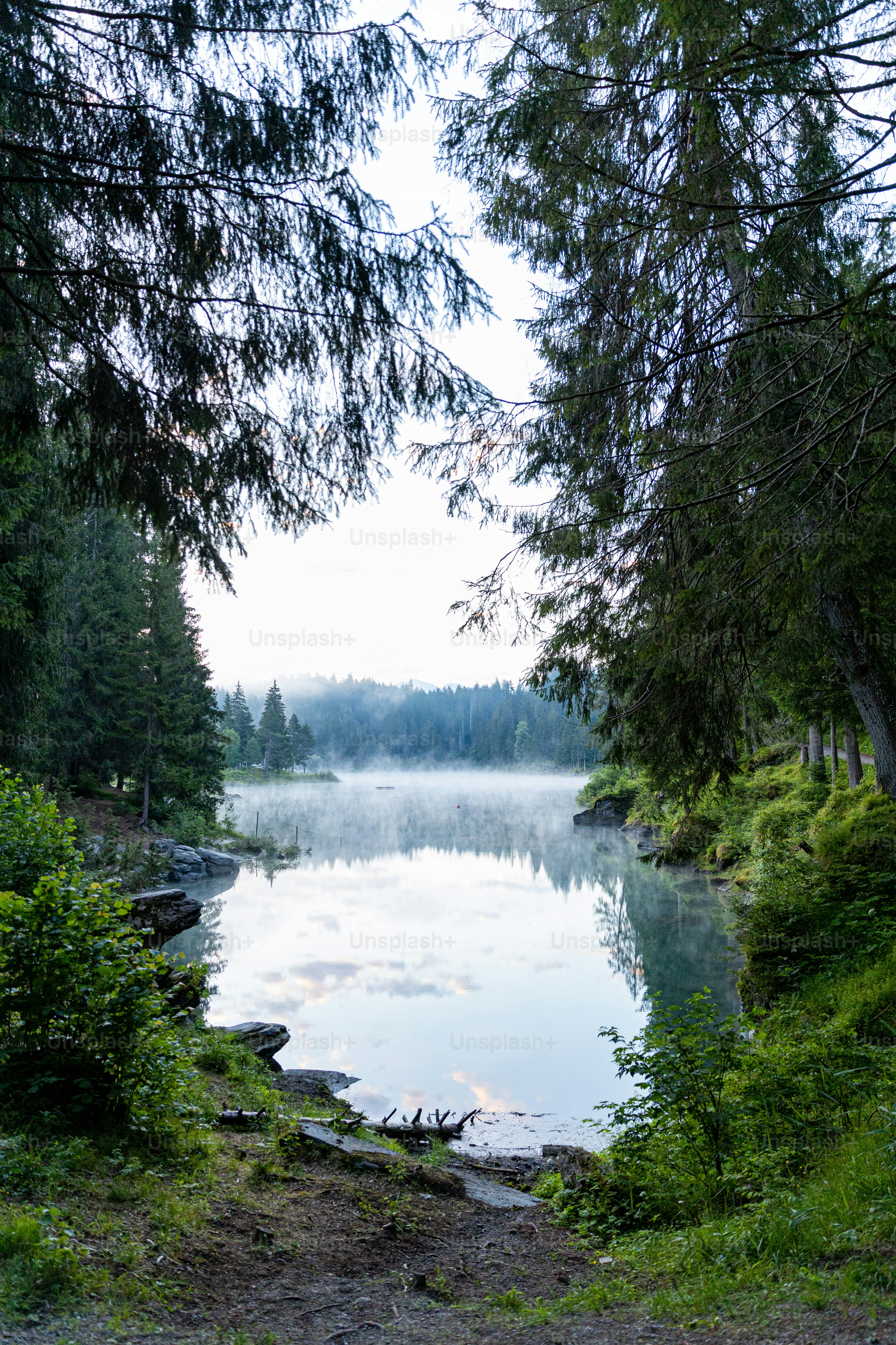 a body of water surrounded by trees and grass