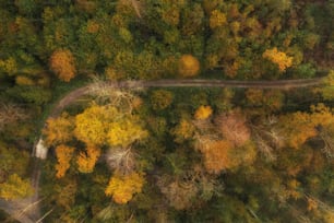 an aerial view of a road surrounded by trees