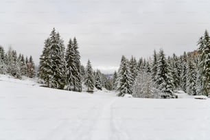 uma pessoa andando de esqui por uma encosta coberta de neve