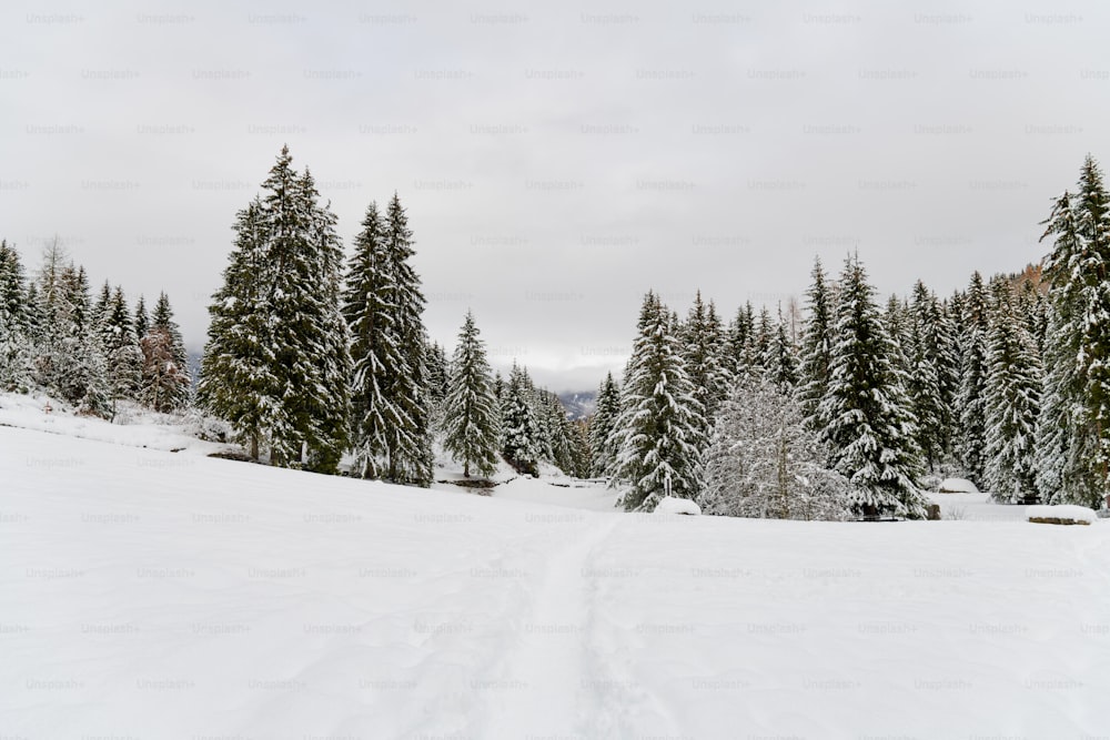 a person riding skis down a snow covered slope