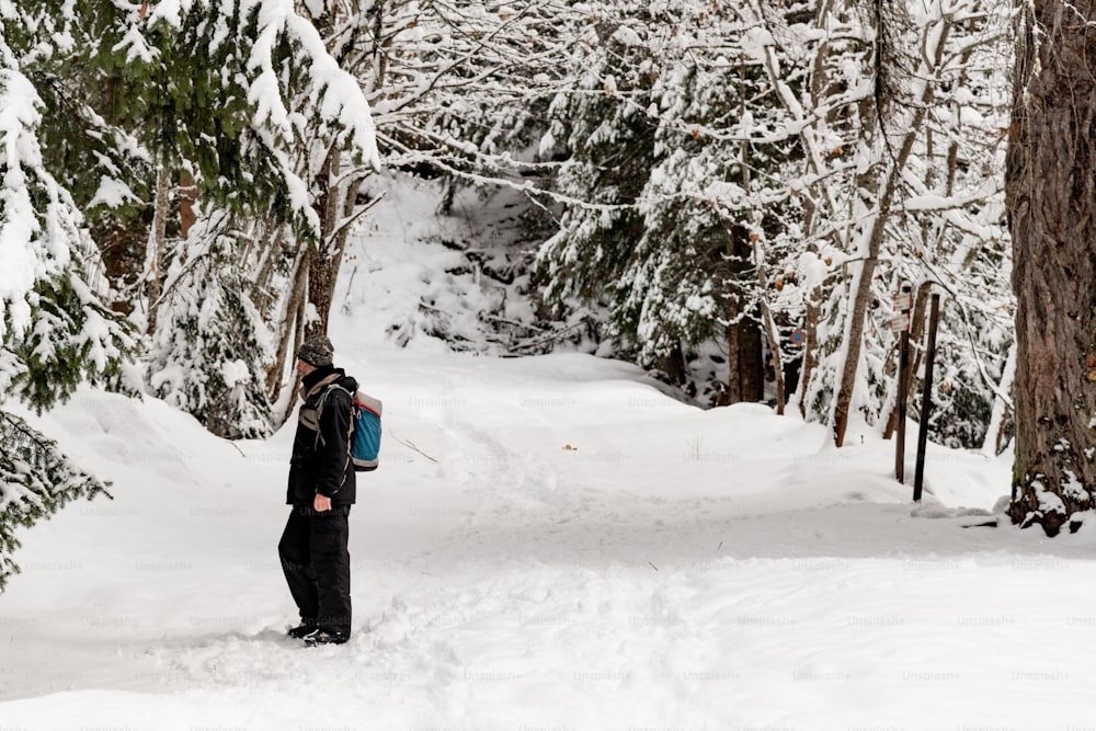 Eine Person, die mit einem Rucksack durch den Schnee geht