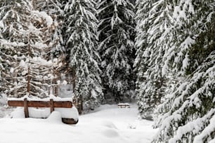 a bench in the middle of a snowy forest
