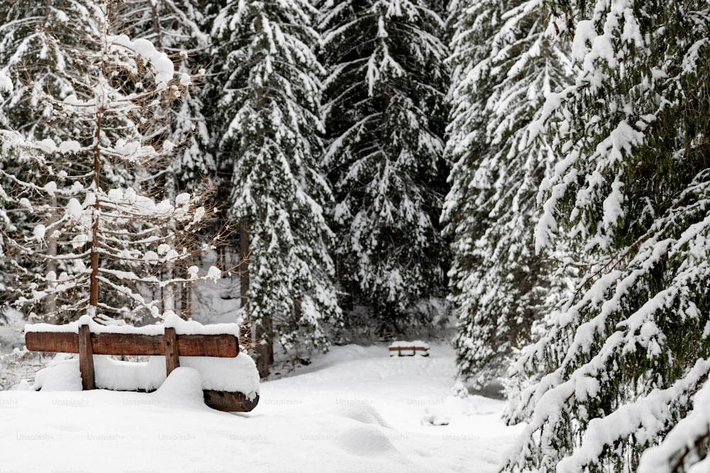 a bench in the middle of a snowy forest