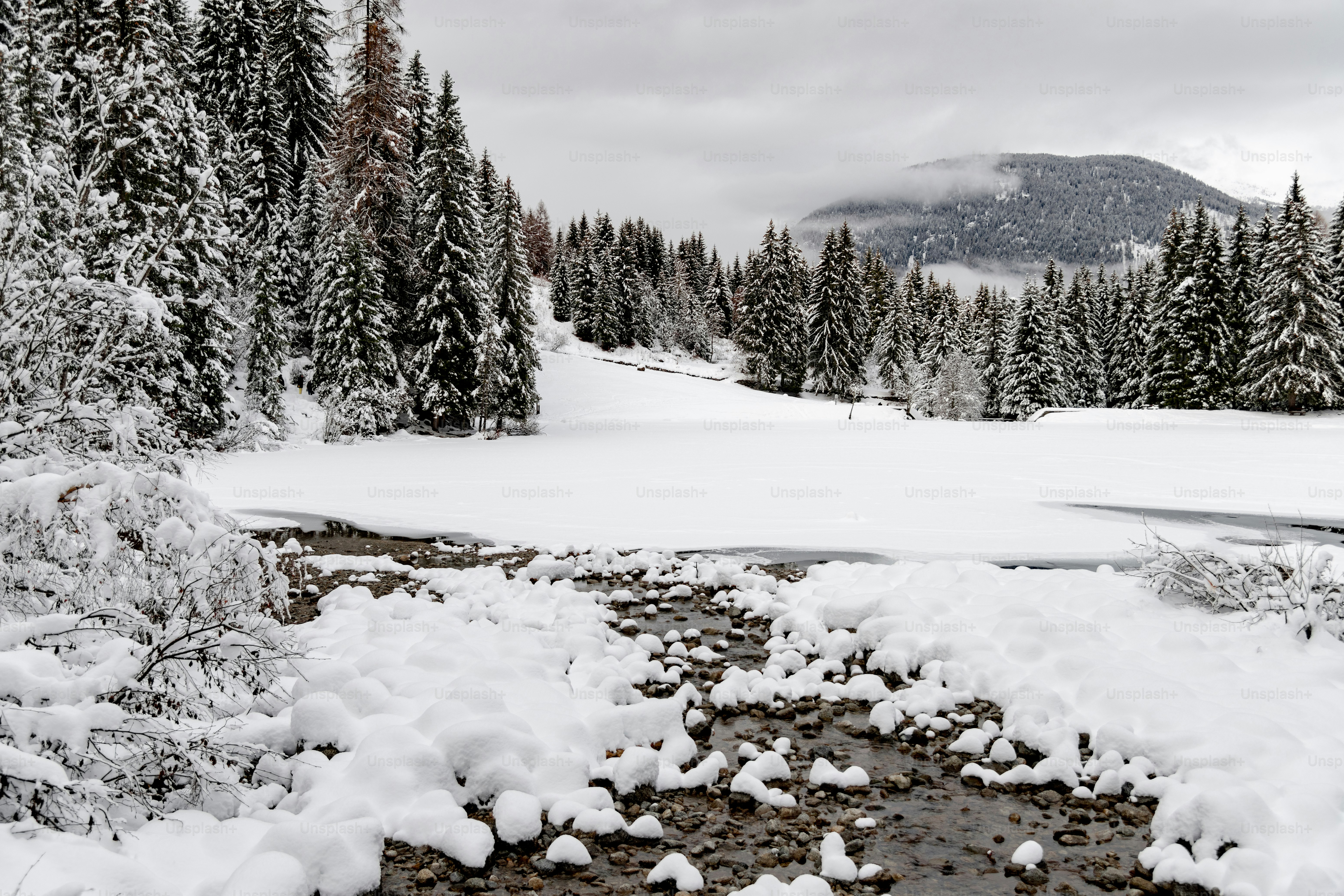 a stream running through a snow covered forest