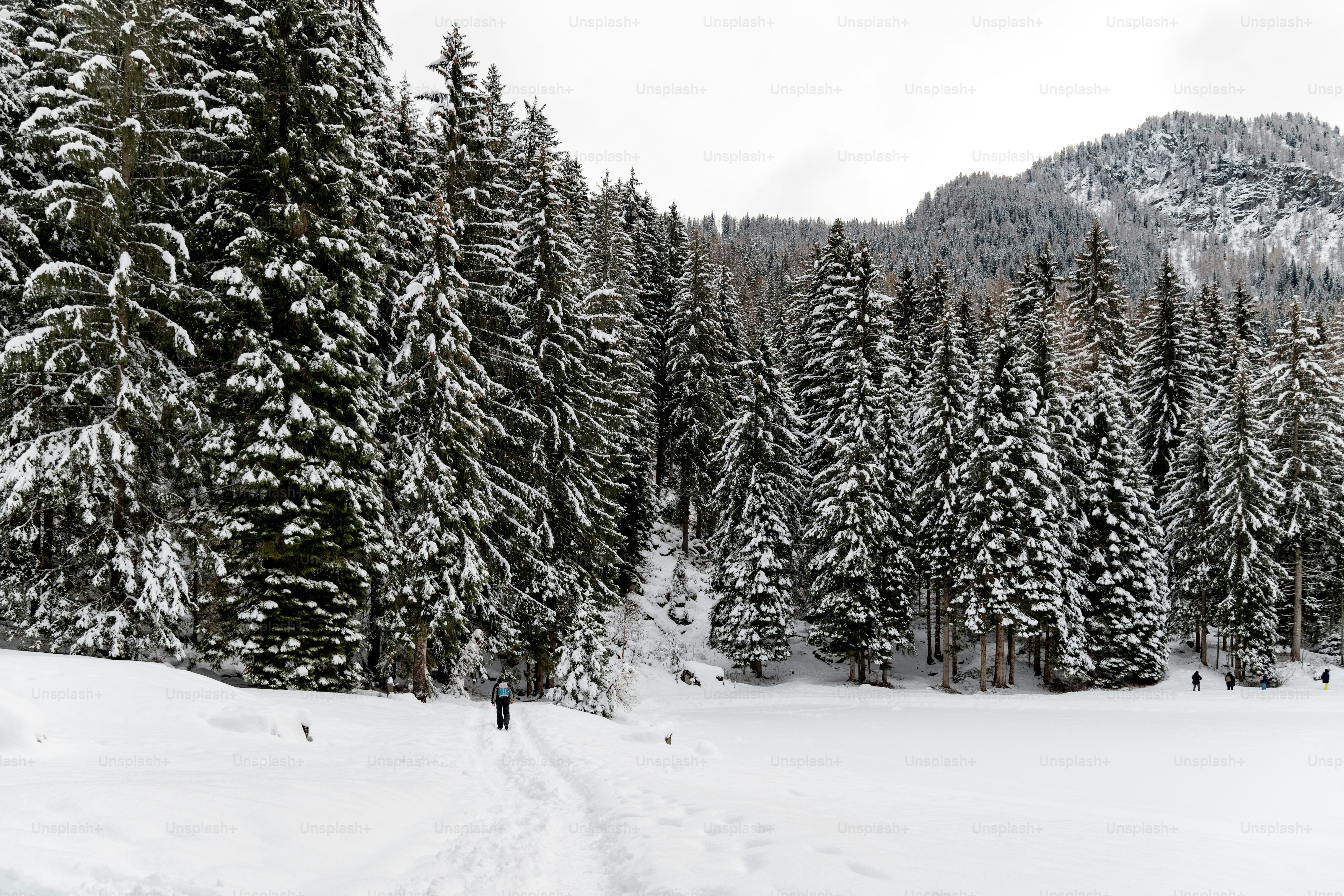 a person walking through a snow covered forest
