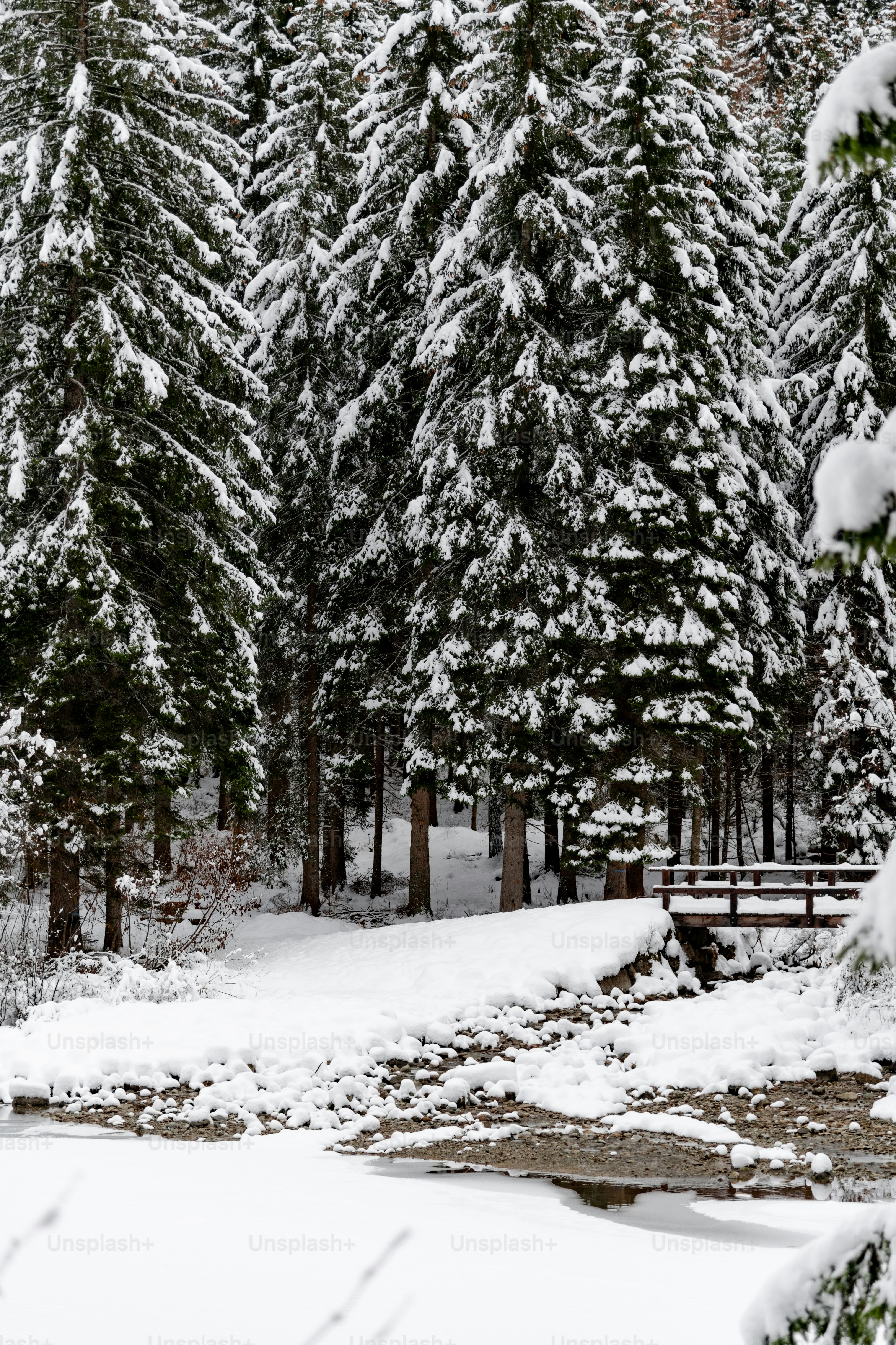a snow covered park with benches and trees