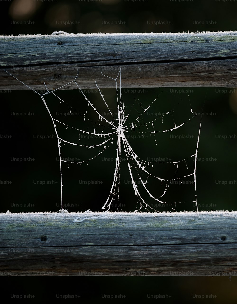 a close up of a spider web on a wooden fence