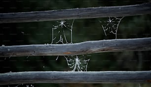 a close up of a wooden fence with spider webs on it