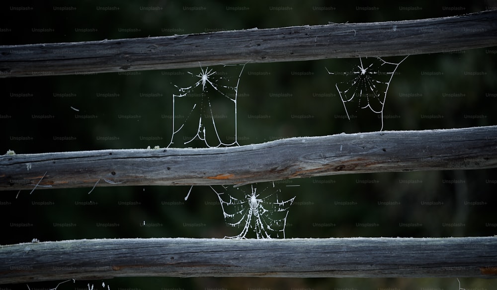 a close up of a wooden fence with spider webs on it