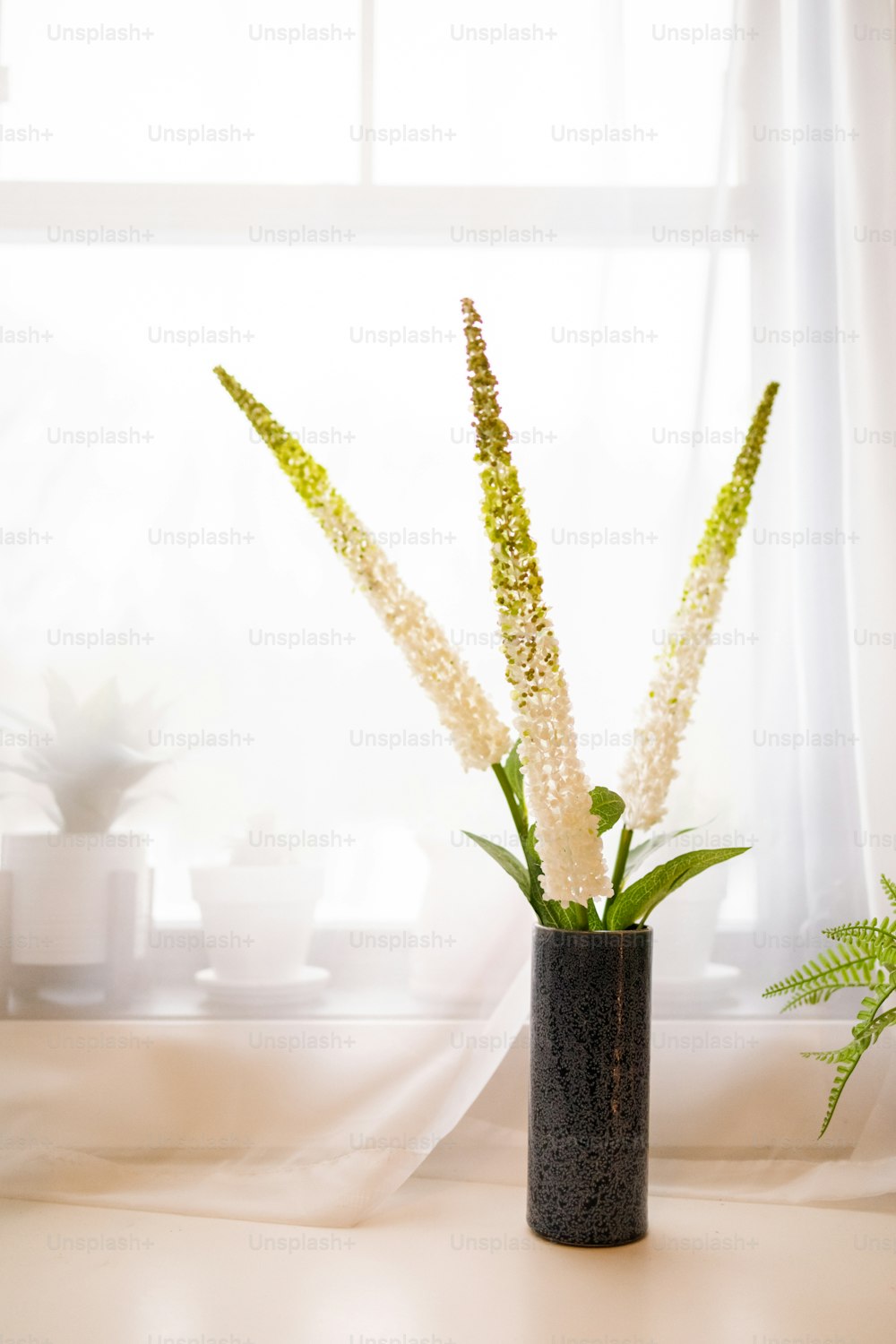 Eine Pflanze in einer Vase, die auf einem Tisch sitzt