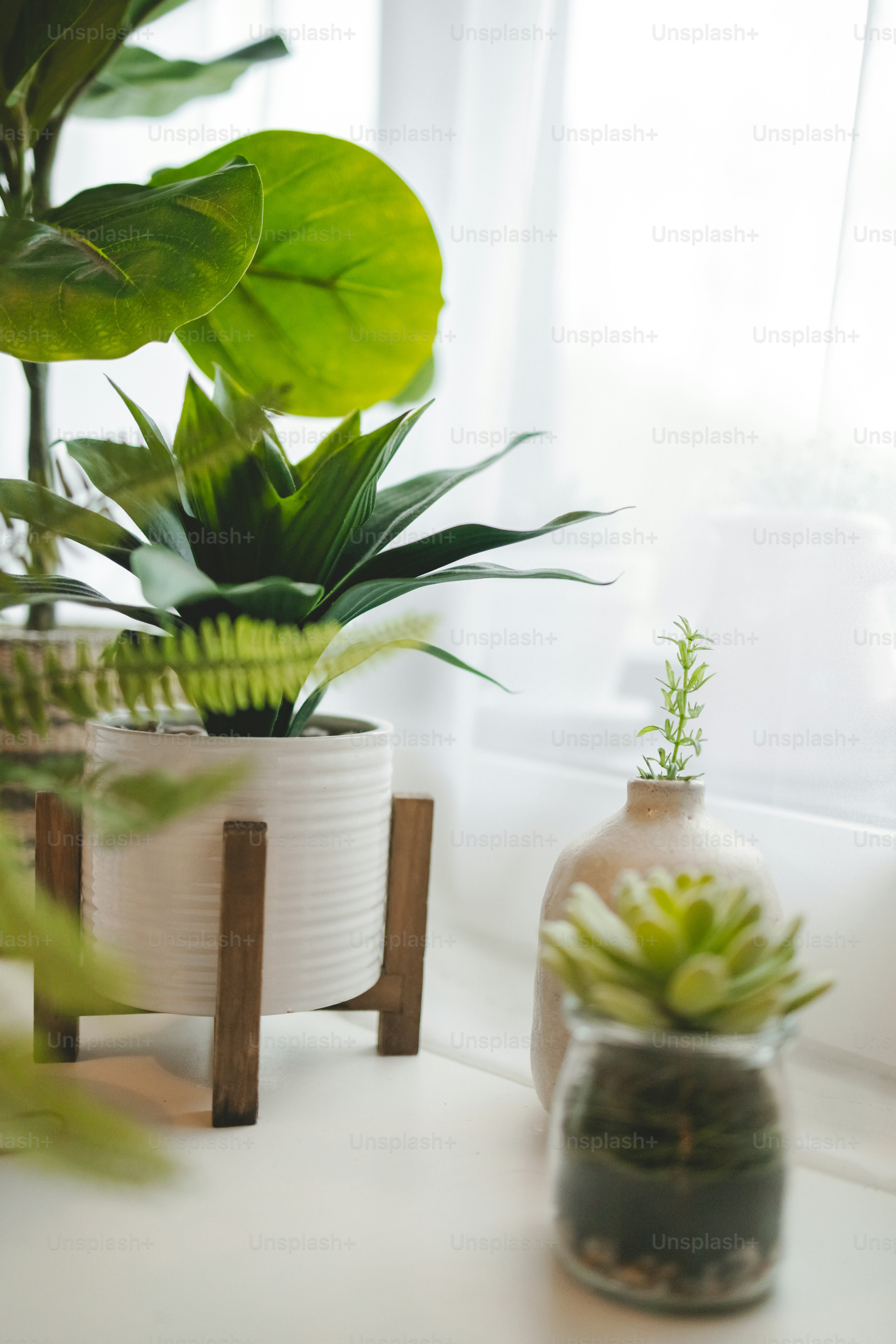 a couple of potted plants sitting on top of a table