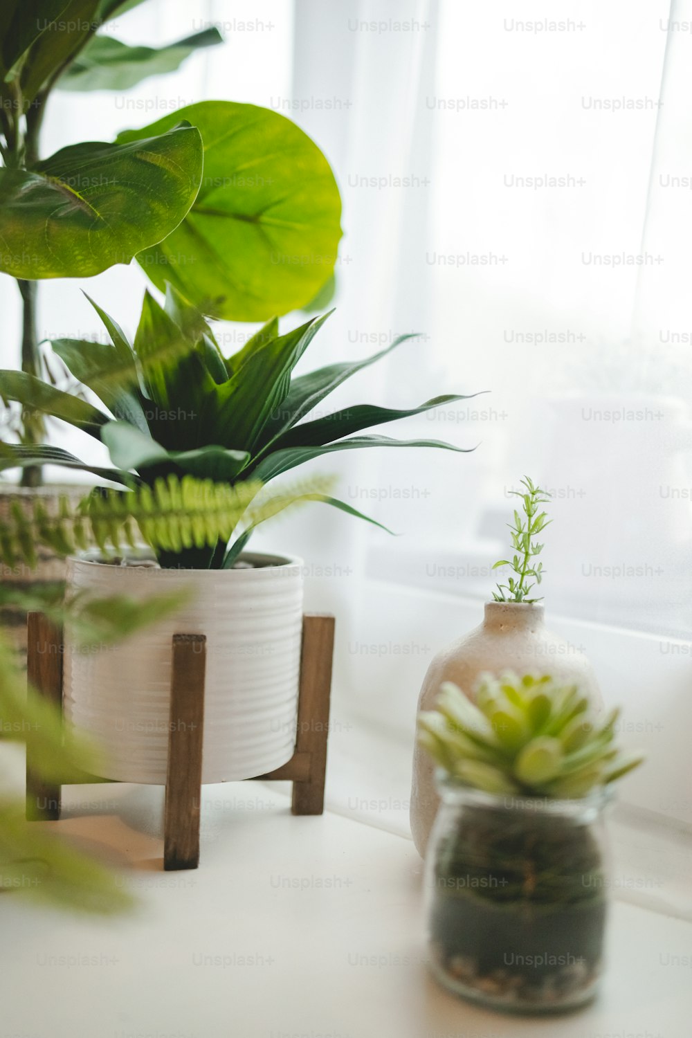 um par de vasos de plantas sentados em cima de uma mesa