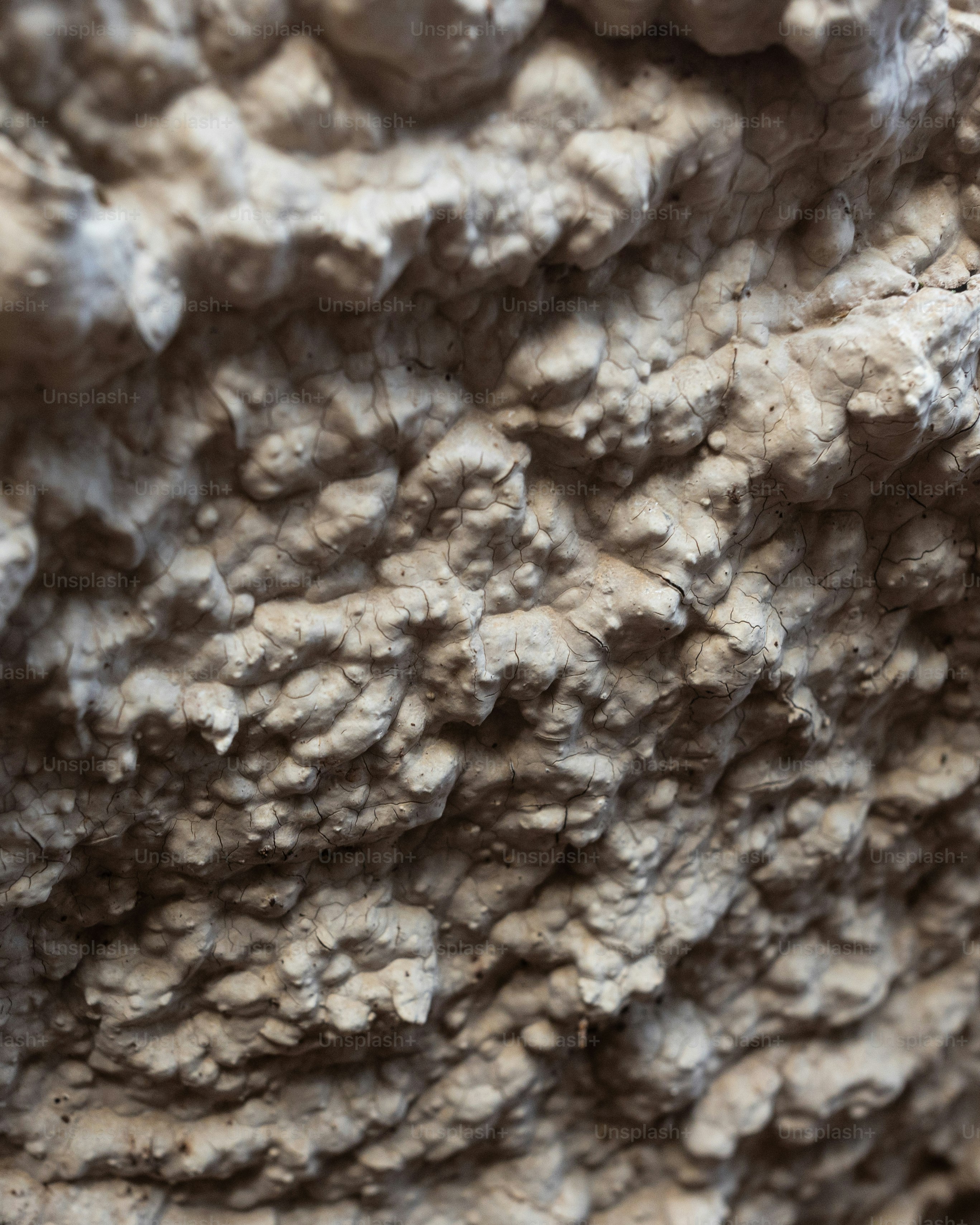 a close up view of a rock formation