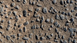 Un primer plano de rocas en un suelo de tierra