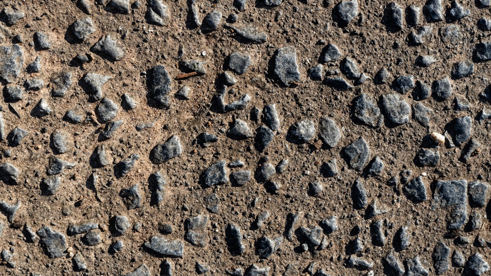 Un primo piano di rocce su un terreno sterrato