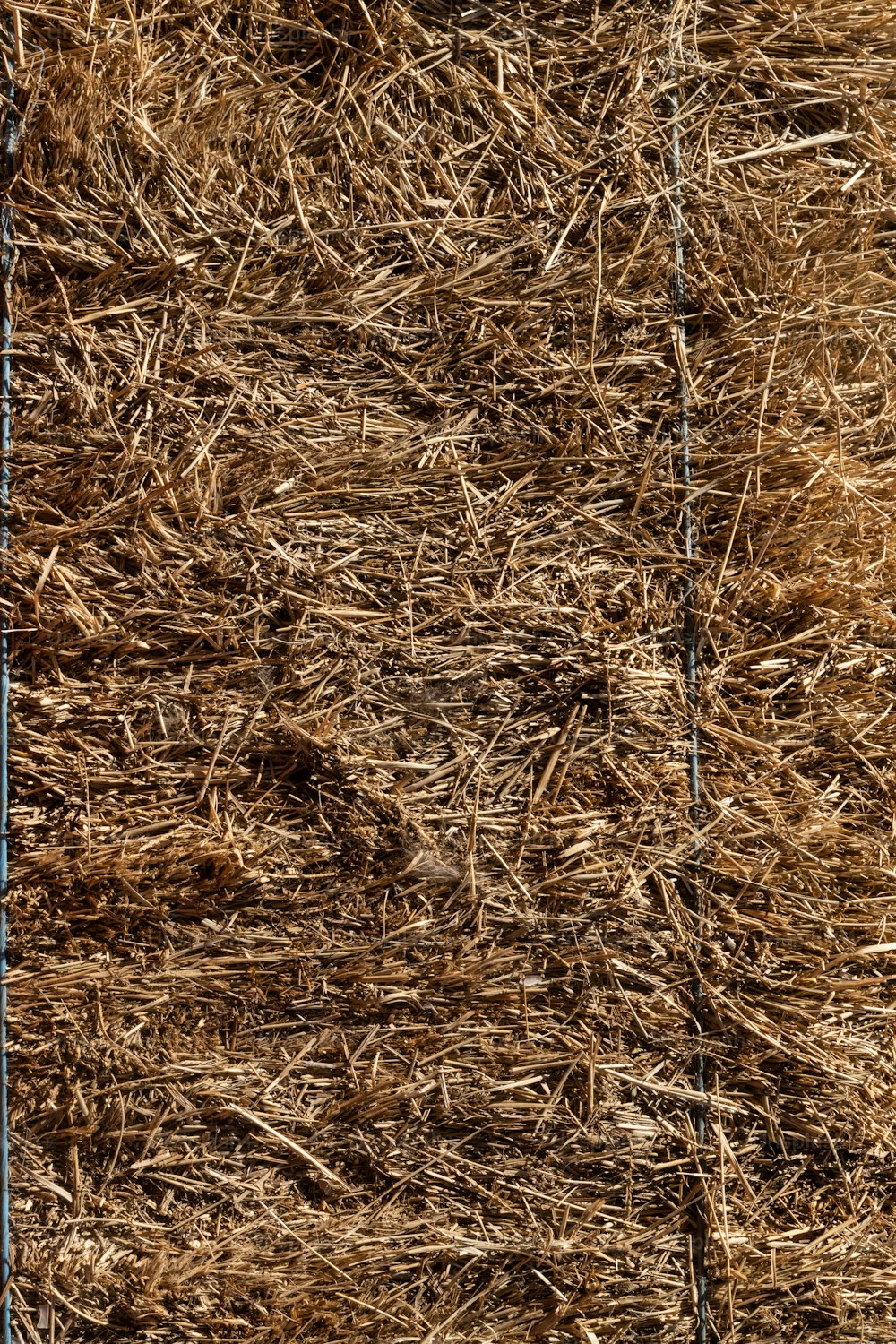 a close up of a pile of hay