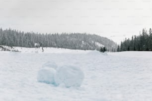 une paire de raquettes à neige assise dans la neige