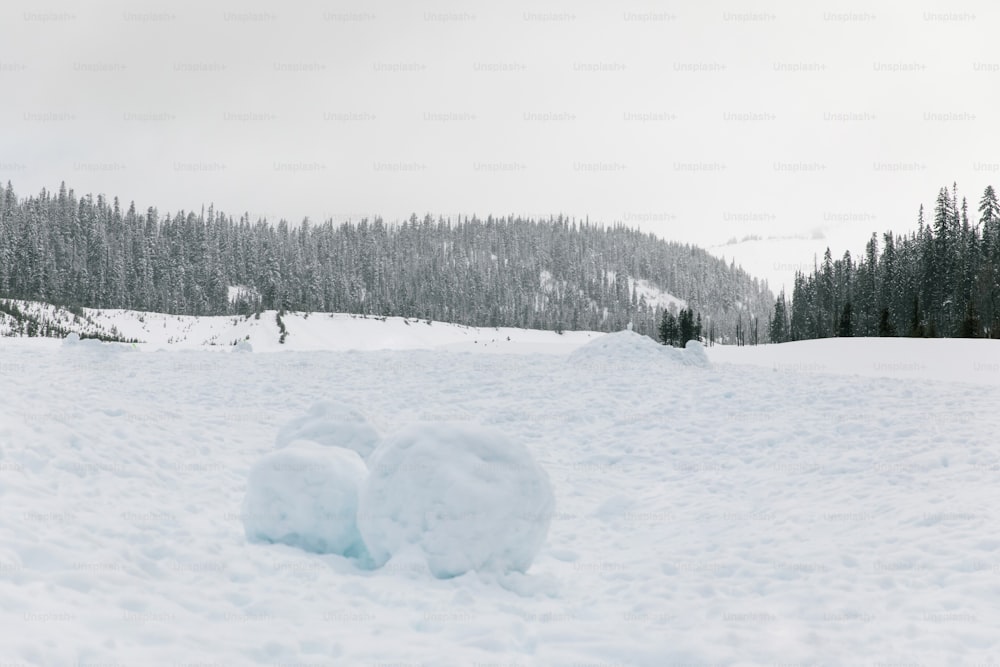 a pair of snow shoes sitting in the snow