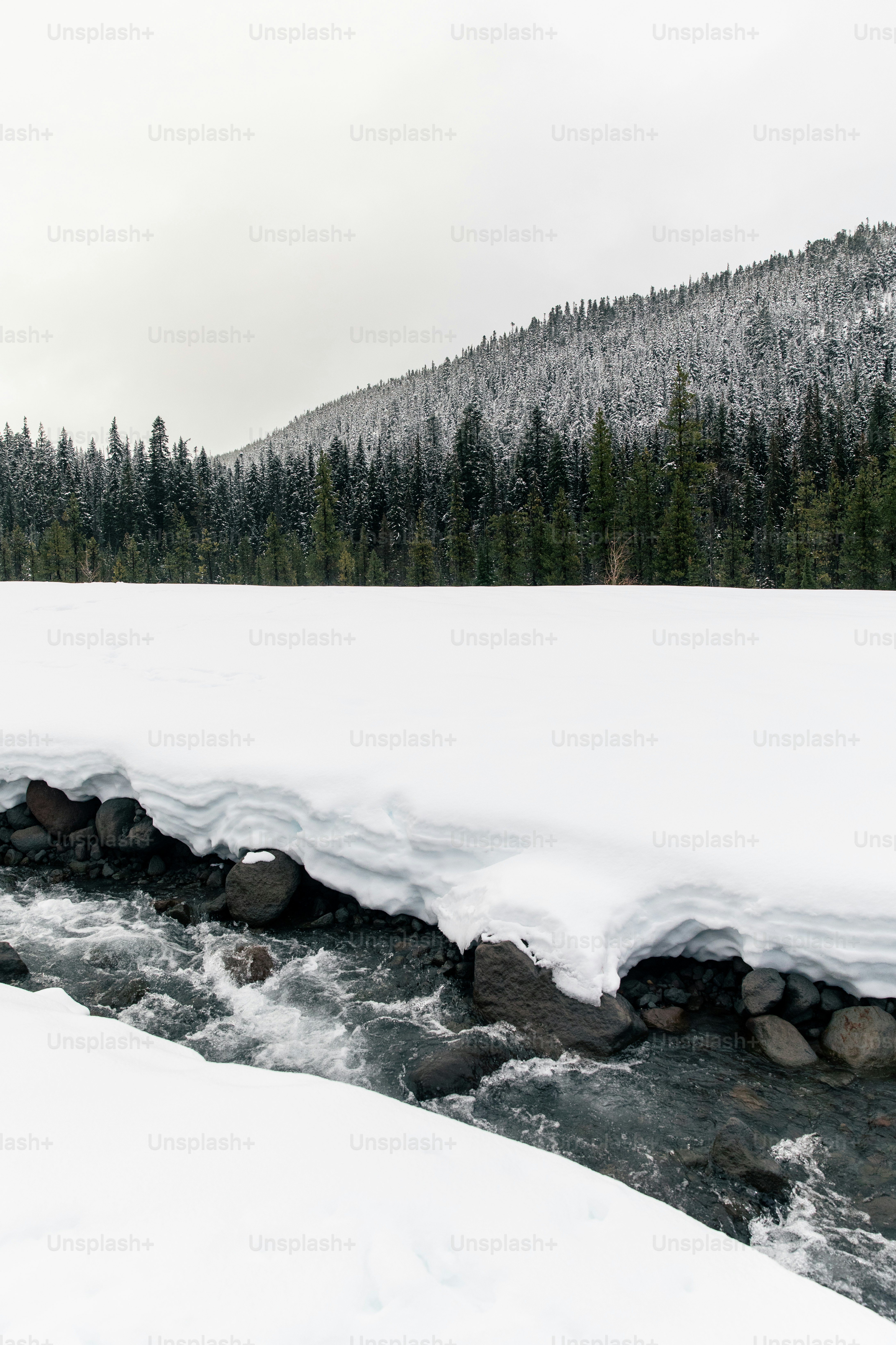a river running through a snow covered forest