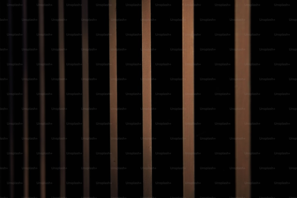 Une photo en noir et blanc de bars dans une cellule de prison