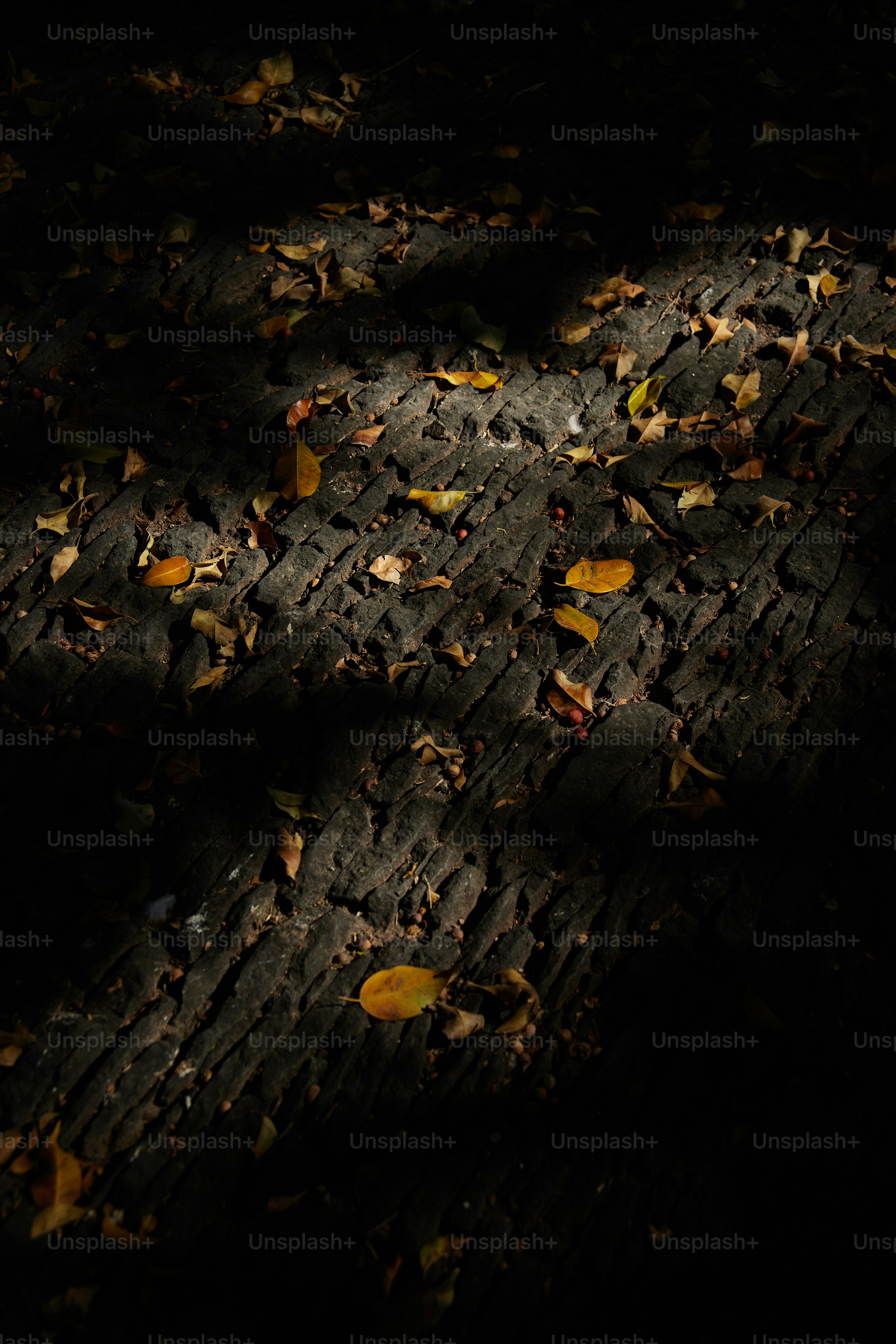 a cell phone laying on the ground in the dark