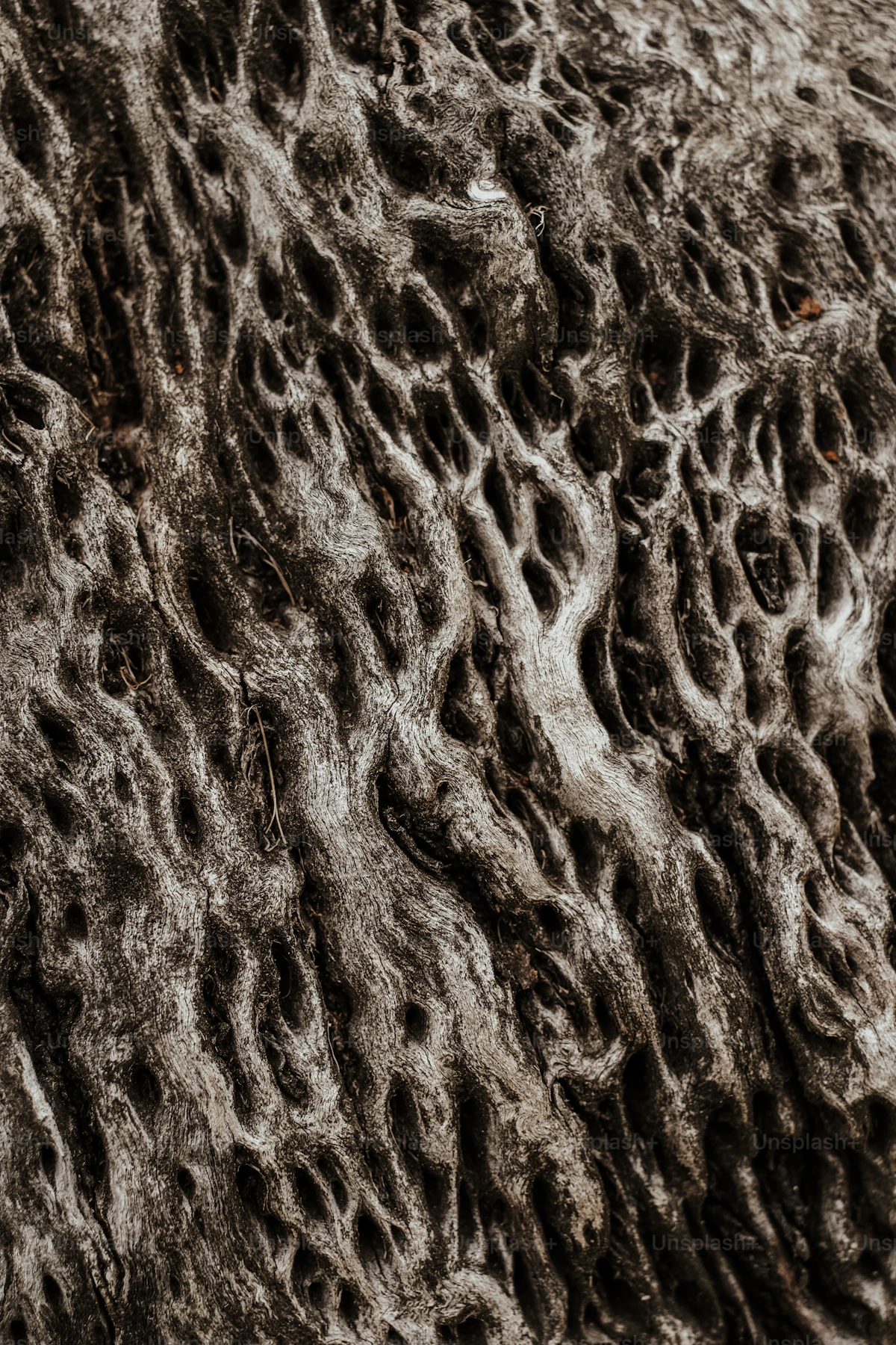 Close-up of natural wool fiber texture showing individual strands