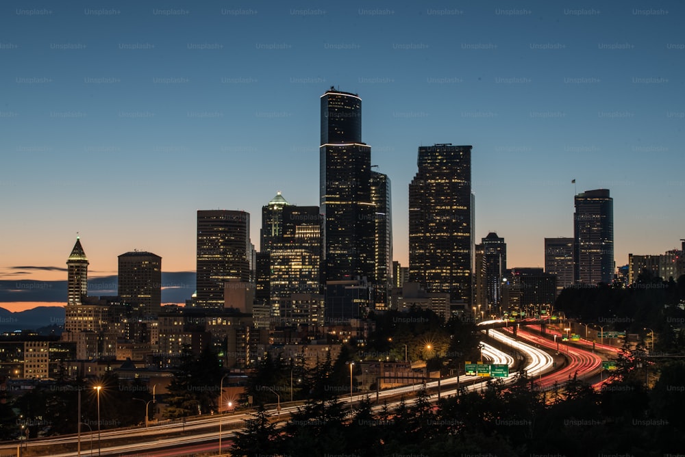 a view of a city skyline at night