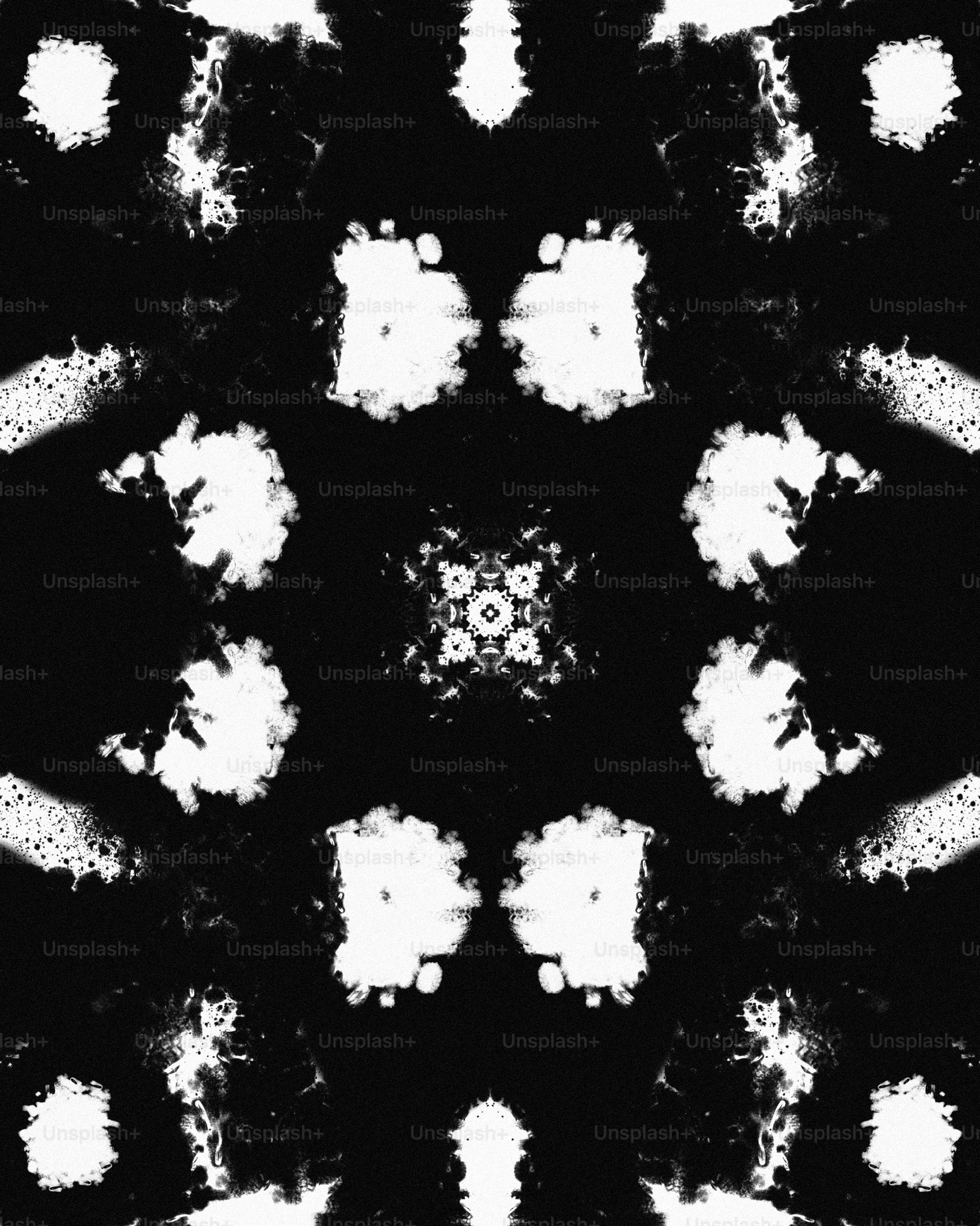 花の白黒写真