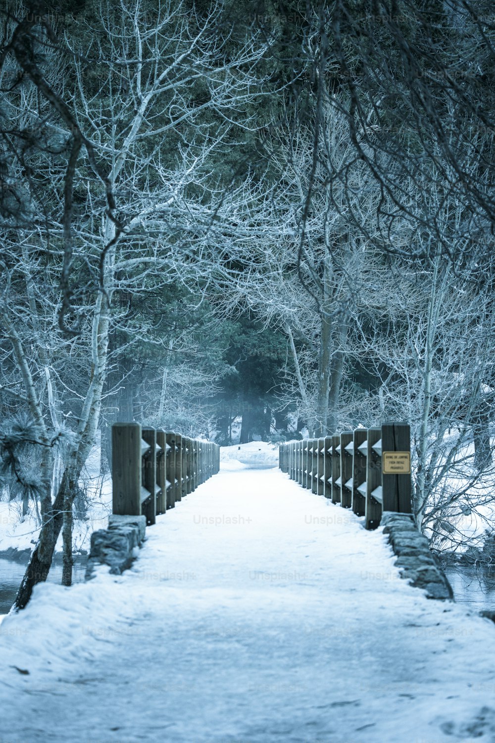 a snow covered path leading through a forest