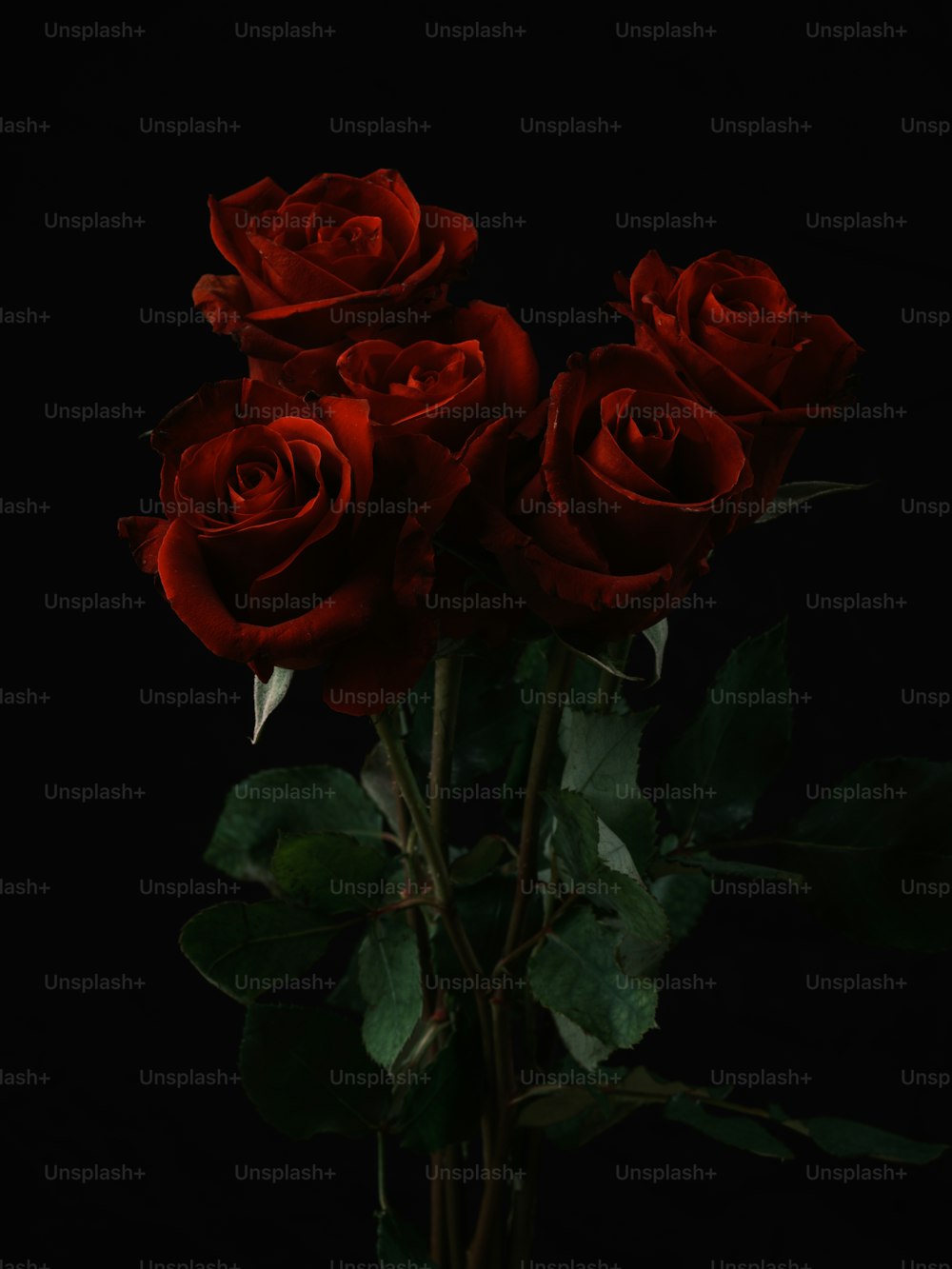Ein Strauß roter Rosen in einer Vase