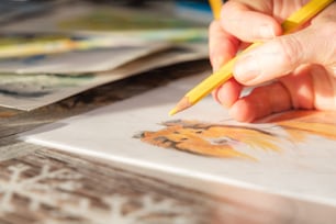 uma pessoa está desenhando uma imagem com um lápis