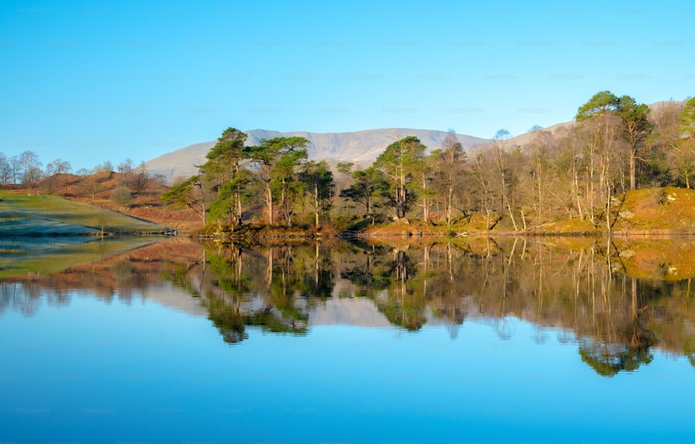 a body of water surrounded by trees and mountains