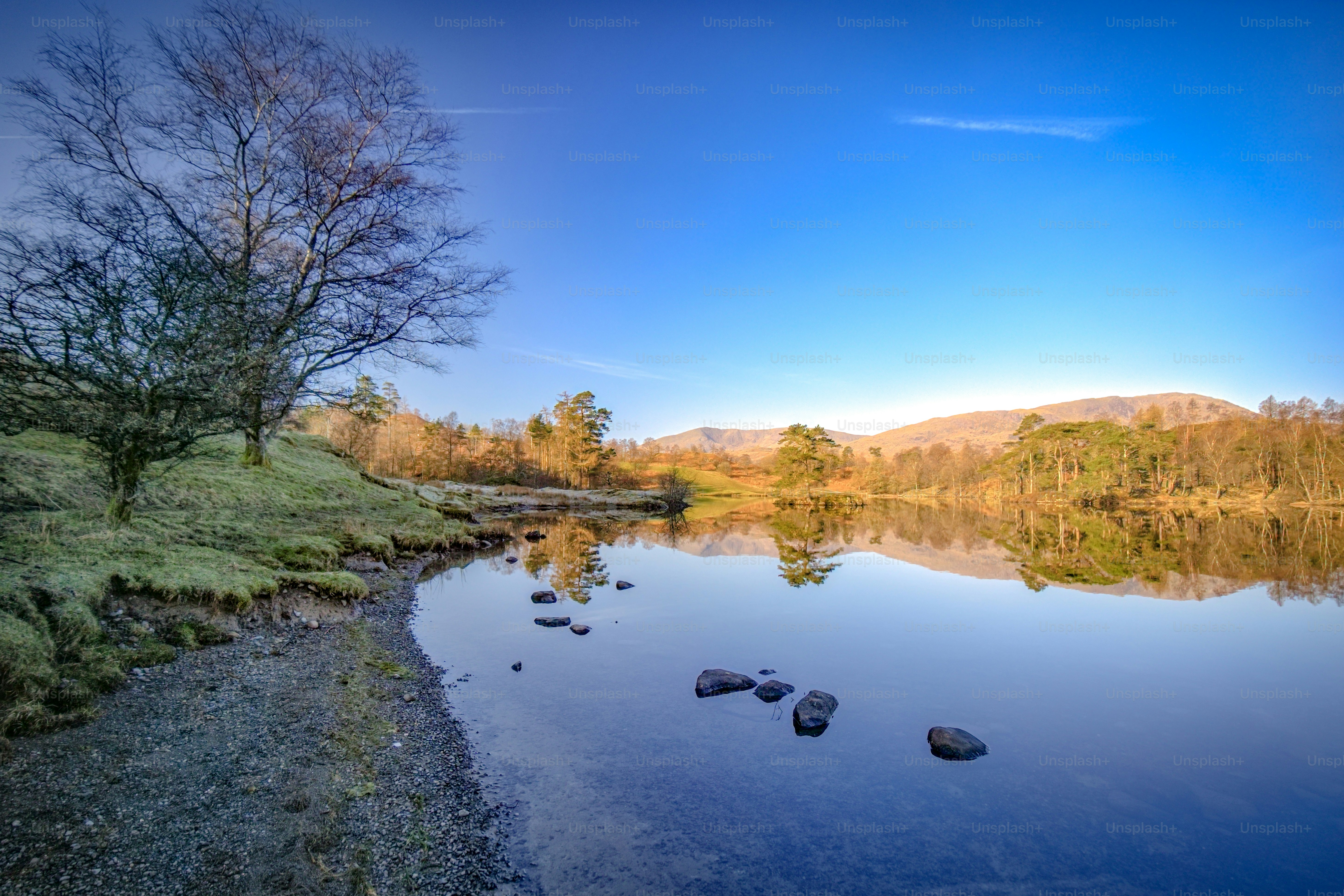 a body of water surrounded by a lush green hillside