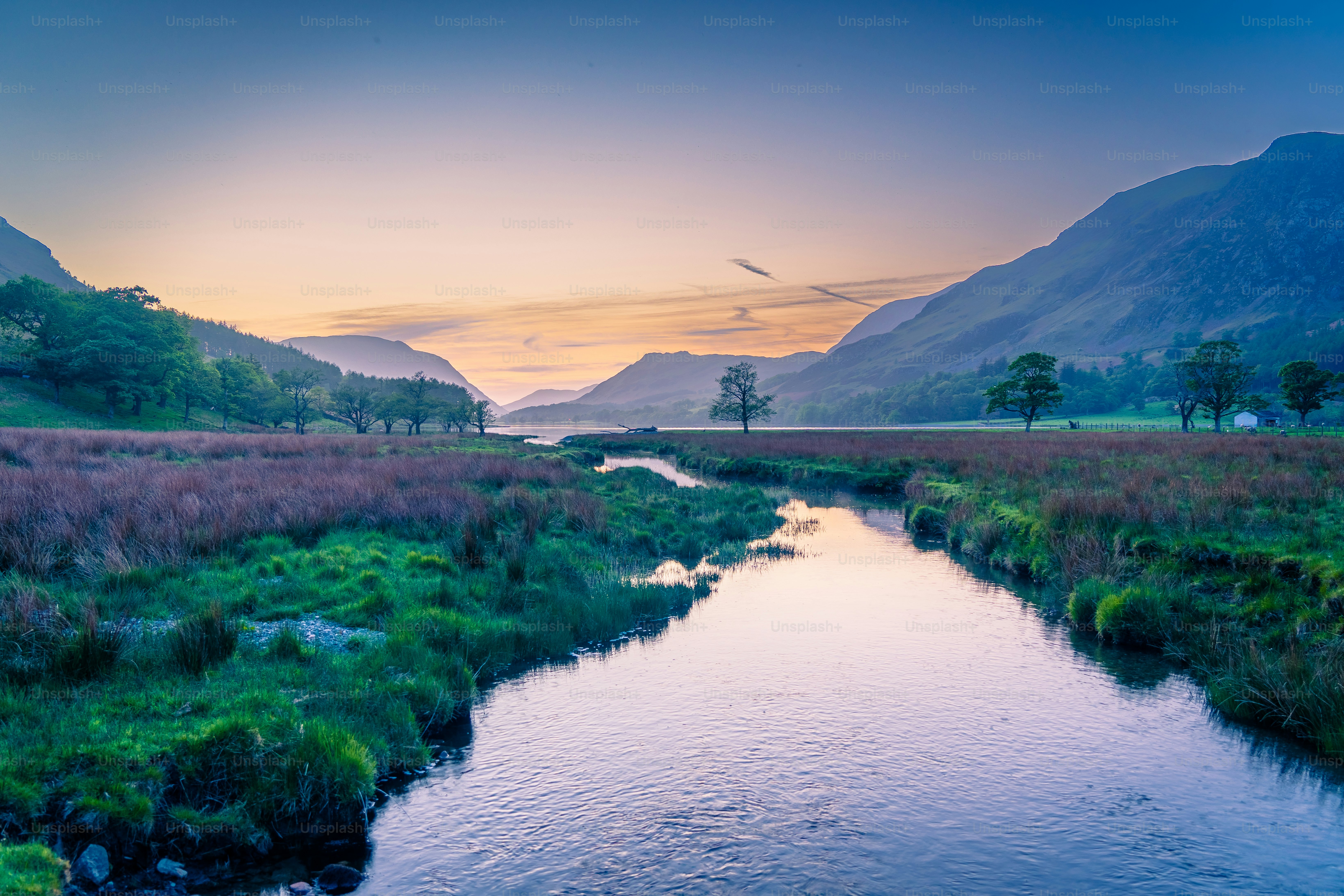 Foto zum Thema Ein Fluss, der durch ein üppiges grünes Feld fließt
